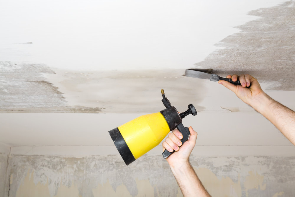Eliminate Popcorn Ceilings as well as Flatten Stucco Ceilings​